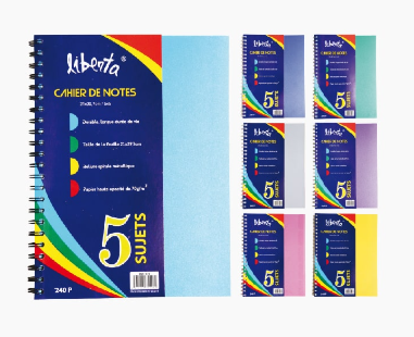 Cahier universitaire 10*10