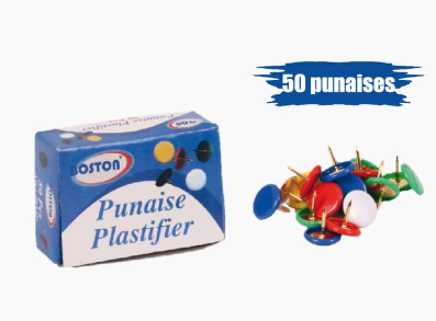 Punaises plastifiée en couleurs